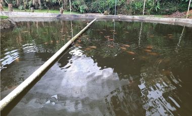 Finca independiente para la venta en Santa Rosa de Cabal!!!