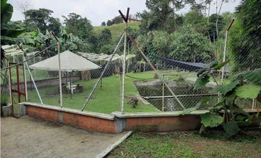 Finca independiente para la venta en Santa Rosa de Cabal!!!