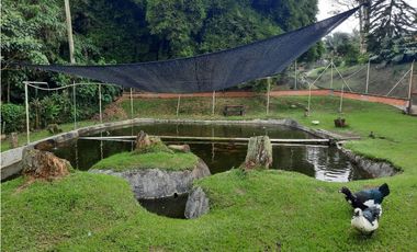 Finca independiente para la venta en Santa Rosa de Cabal!!!