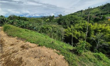 Lote independiente para la venta en Combia, Pereira!!!