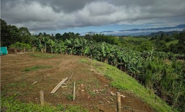 Lote independiente para la venta en Combia, Pereira!!!