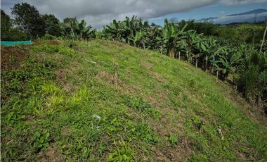 Lote independiente para la venta en Combia, Pereira!!!