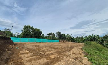 Lote independiente para la venta en Combia, Pereira!!!