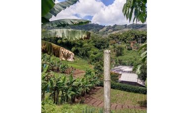Finca para la venta en la Florida, Pereira, Risaralda!!