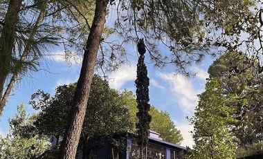 Quinta en Venta, Casa de los Milagros, 4 casas