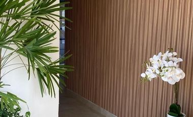 Departamento amueblado en renta Costa de oro