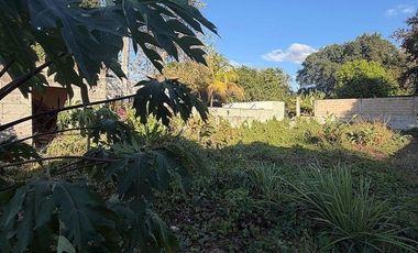 Casa para Remodelar en Venta en el Centro, Mérida Yucatán