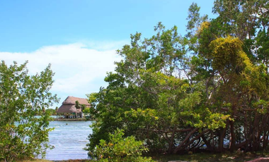 Terreno en venta en Raudales (Úrsulo Galván), Othón P. Blanco, Quintana Roo.