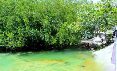 Terreno en venta en Raudales (Úrsulo Galván), Othón P. Blanco, Quintana Roo.