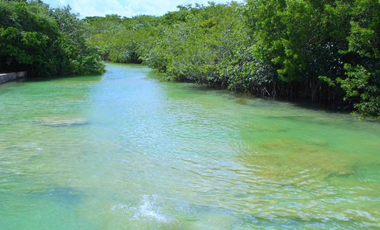 Terreno en venta en Raudales (Úrsulo Galván), Othón P. Blanco, Quintana Roo.