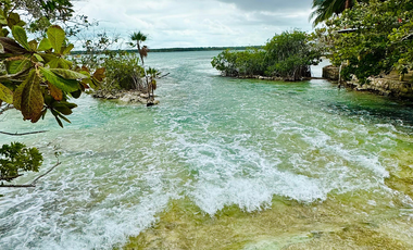 Terreno en venta en Raudales (Úrsulo Galván), Othón P. Blanco, Quintana Roo.