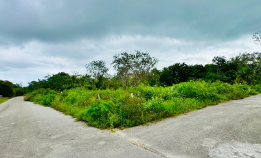 Terreno en venta en Raudales (Úrsulo Galván), Othón P. Blanco, Quintana Roo.