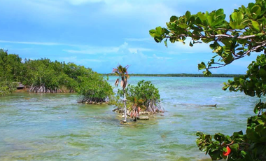 Terreno en venta en Raudales (Úrsulo Galván), Othón P. Blanco, Quintana Roo.