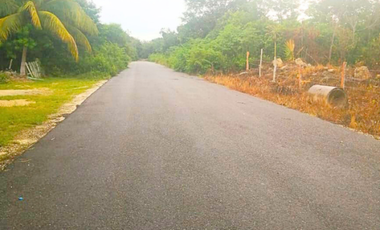 Terreno en venta en Raudales (Úrsulo Galván), Othón P. Blanco, Quintana Roo.