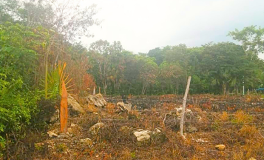 Terreno en venta en Raudales (Úrsulo Galván), Othón P. Blanco, Quintana Roo.