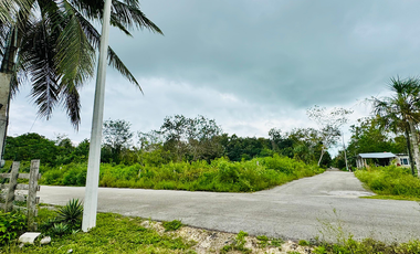 Terreno en venta en Raudales (Úrsulo Galván), Othón P. Blanco, Quintana Roo.