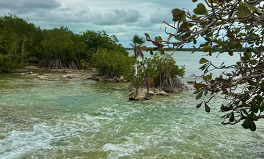 Terreno en venta en Raudales (Úrsulo Galván), Othón P. Blanco, Quintana Roo.