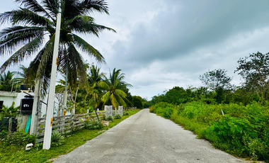 Terreno en venta en Raudales (Úrsulo Galván), Othón P. Blanco, Quintana Roo.