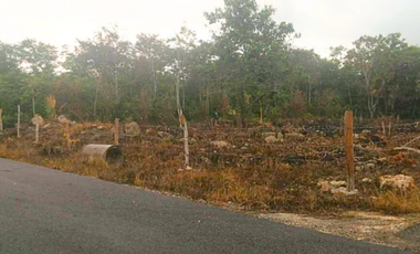 Terreno en venta en Raudales (Úrsulo Galván), Othón P. Blanco, Quintana Roo.