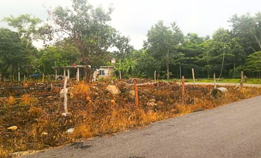 Terreno en venta en Raudales (Úrsulo Galván), Othón P. Blanco, Quintana Roo.