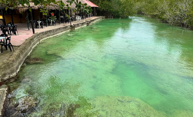 Terreno en venta en Raudales (Úrsulo Galván), Othón P. Blanco, Quintana Roo.