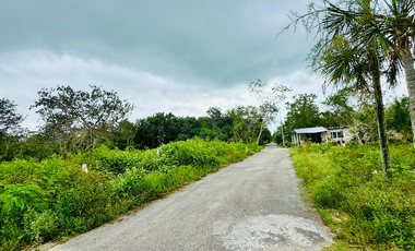 Terreno en venta en Raudales (Úrsulo Galván), Othón P. Blanco, Quintana Roo.