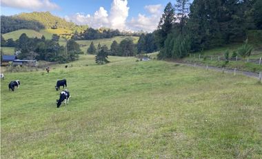VENTA DE LOTE EN EL RETIRO