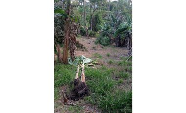 VENDO HERMOSA CASA CAMPESTRE