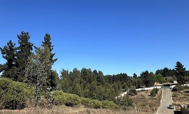 Venta de terrenos en condominio en Los Pinos Reñaca