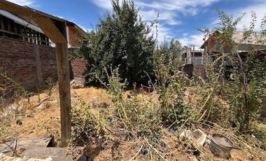 CASA CON TERRENO 786 MT2