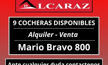 Mario Bravo 800
