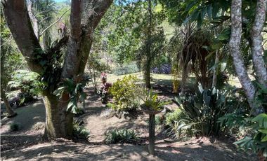 VENTA FINCA TITIRIBI, SUROESTE ANTIOQUEÑO