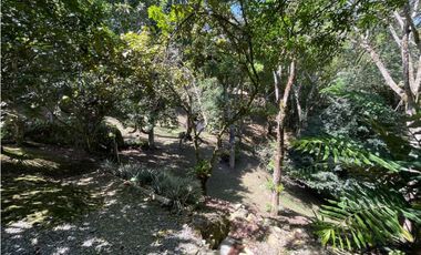 VENTA FINCA TITIRIBI, SUROESTE ANTIOQUEÑO