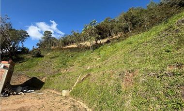Finca en San Vicente de Ferrer Vereda la Enea