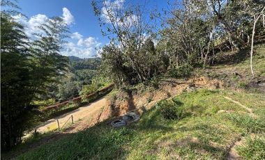 Finca en San Vicente de Ferrer Vereda la Enea