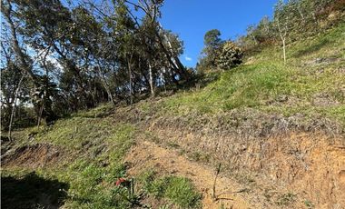 Finca en San Vicente de Ferrer Vereda la Enea