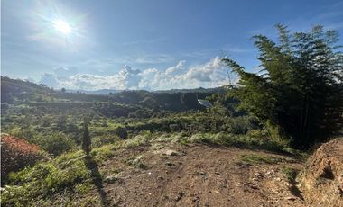 Finca en San Vicente de Ferrer Vereda la Enea