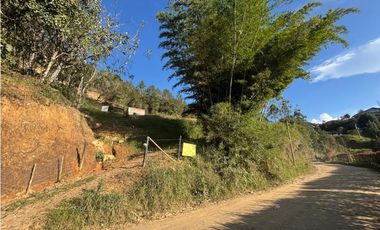 Finca en San Vicente de Ferrer Vereda la Enea