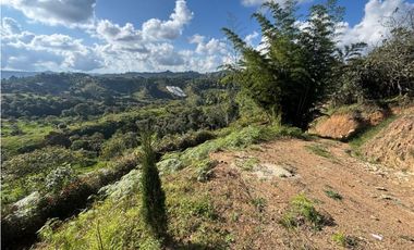 Finca en San Vicente de Ferrer Vereda la Enea
