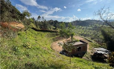 Finca en San Vicente de Ferrer Vereda la Enea