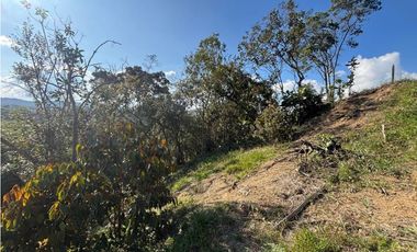 Finca en San Vicente de Ferrer Vereda la Enea