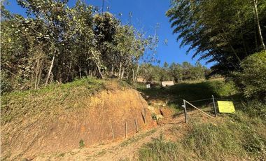 Finca en San Vicente de Ferrer Vereda la Enea