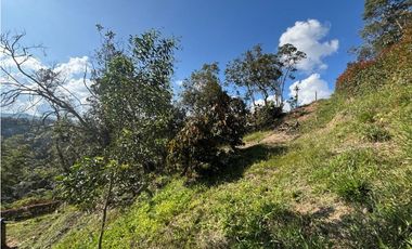 Finca en San Vicente de Ferrer Vereda la Enea