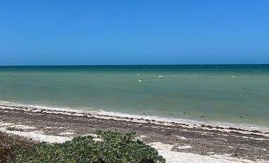 Venta Casa de lujo frente al mar, San Benito , Mérida ,Yucatán.