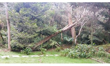 CMV-548-2 Casas campestres-Santa Elena-V.Mazo-Sector Frank