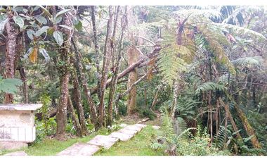 CMV-548-2 Casas campestres-Santa Elena-V.Mazo-Sector Frank