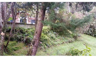 CMV-548-2 Casas campestres-Santa Elena-V.Mazo-Sector Frank