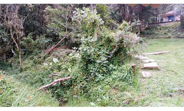 CMV-548-2 Casas campestres-Santa Elena-V.Mazo-Sector Frank