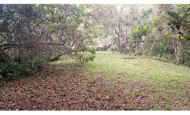 CMV-548-2 Casas campestres-Santa Elena-V.Mazo-Sector Frank