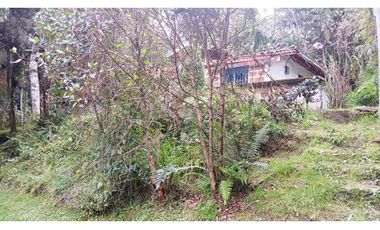 CMV-548-2 Casas campestres-Santa Elena-V.Mazo-Sector Frank